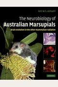 The Neurobiology Of Australian Marsupials: Brain Evolution In The Other Mammalian Radiation