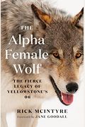 The Alpha Female Wolf: The Fierce Legacy Of Yellowstone's 06