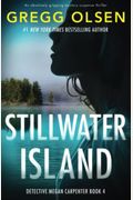 Stillwater Island: An Absolutely Gripping Mystery Suspense Thriller