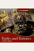 Turtles And Tortoises