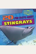 20 Fun Facts About Stingrays