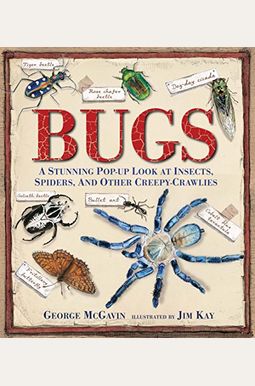 Bugs: A Stunning Pop-Up Look At Insects, Spiders, And Other Creepy-Crawlies Bugs: A Stunning Pop-Up Look At Insects, Spiders, And Other Creepy-Crawlies