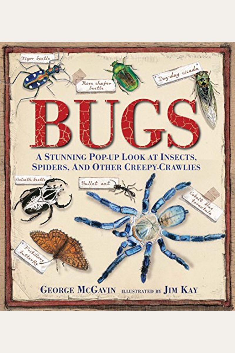 Bugs: A Stunning Pop-Up Look At Insects, Spiders, And Other Creepy-Crawlies