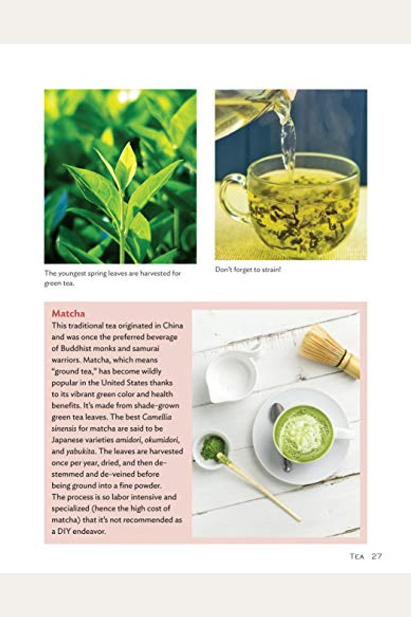 Buy Growing Your Own Tea Garden The Guide To Growing And Harvesting Flavorful Teas In Your