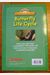 Butterfly Life Cycle Science Vocabulary Readers