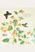 Flip, Float, Fly: Seeds On The Move