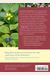 Pacific Northwest Foraging: 120 Wild and Flavorful Edibles from Alaska Blueberries to Wild Hazelnuts