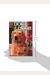Dog At The Door
