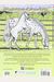 Wonderful World Of Horses Coloring Book