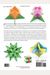 Fabulous Modular Origami: 20 Origami Models With Instructions And Diagrams