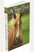 My Friend Flicka