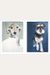 A Dog A Day