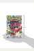 PokéMon Adventures: Heartgold And Soulsilver, Vol. 2