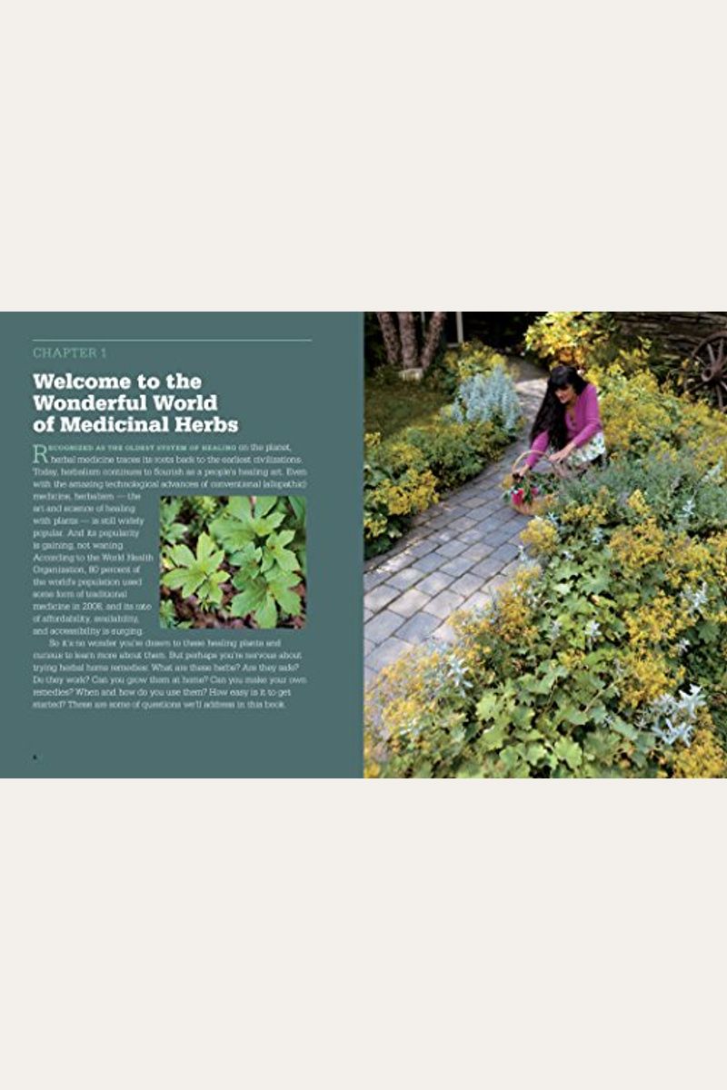 Buy Rosemary Gladstar's Medicinal Herbs A Beginner's Guide 33 Healing