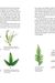 What's Wrong With My Plant? (And How Do I Fix It?): A Visual Guide To Easy Diagnosis And Organic Remedies