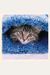 You Need More Sleep: Advice From Cats (Cat Book, Funny Cat Book, Cat Gifts For Cat Lovers)