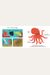 Touch And Explore: The Ocean