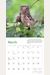 Audubon Little Owls Mini Wall Calendar 2022