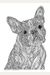 Ultimate Coloring Book Treasury: Relax, Recharge, And Refresh Yourself