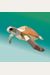 Paint By Sticker Kids: Under The Sea: Create 10 Pictures One Sticker At A Time!