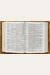 Kjv, Thompson Chain-Reference Bible, Large Print, Leathersoft, Brown, Red Letter