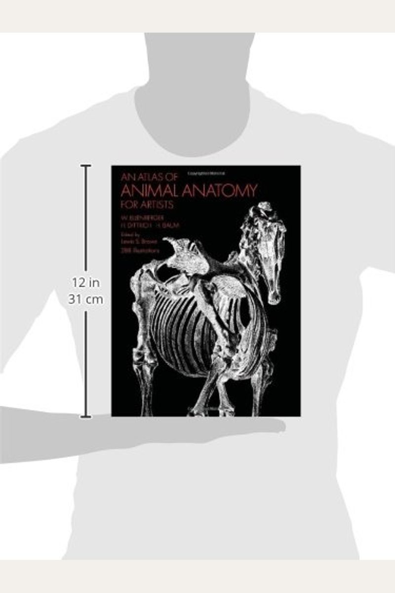 Buy An Atlas Of Animal Anatomy For Artists Book By W Ellenberger
