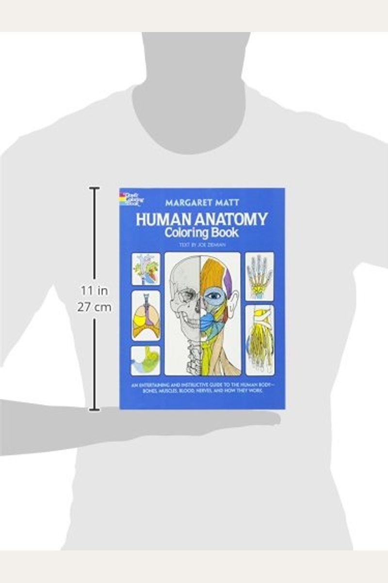 Buy Human Anatomy Coloring Book Book By Margaret Matt